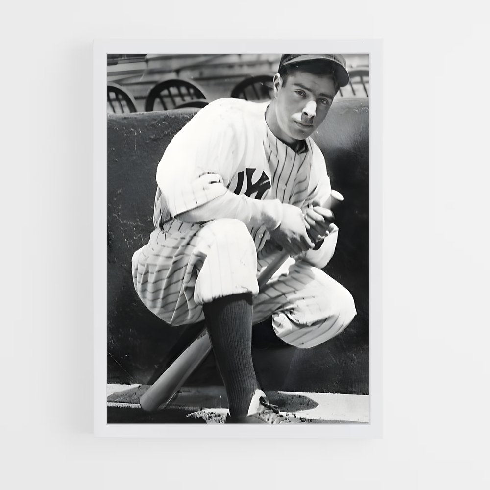 ap-joe dimaggio-2 cadre Blanc