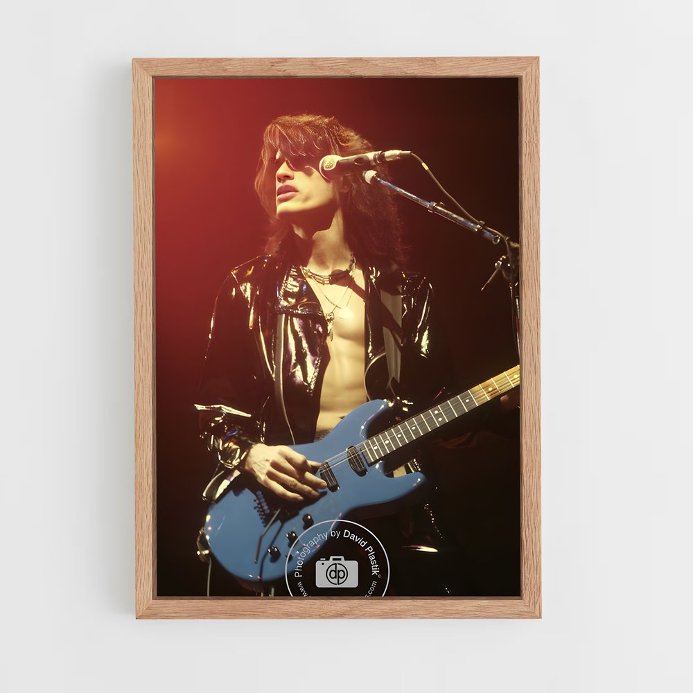 ap-joe perry-1 cadre Bois clair
