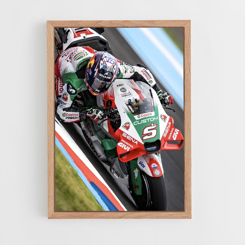 ap-johann zarco-2 cadre Bois clair