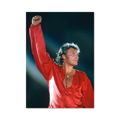 Poster Hallyday en Concert
