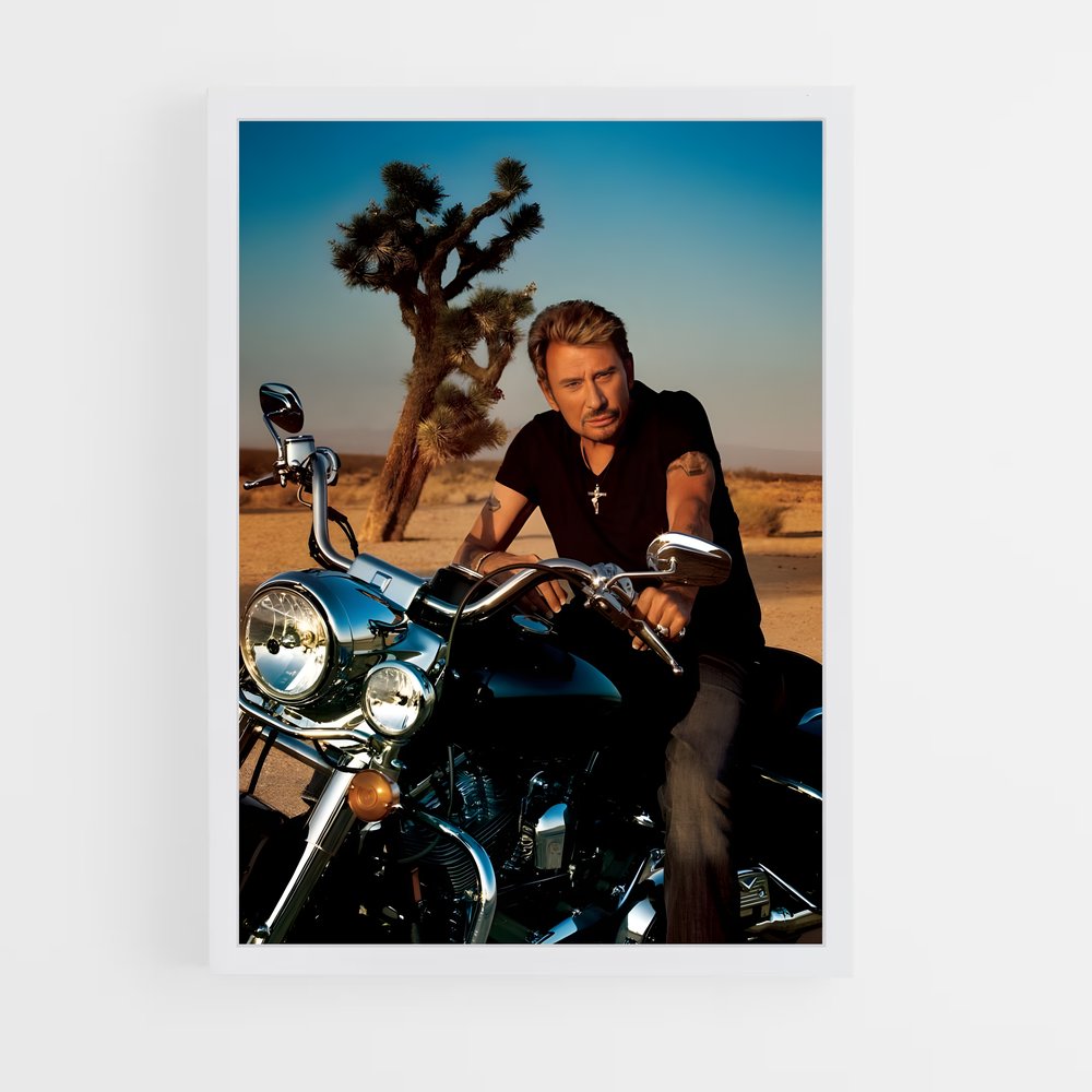 ap-johnny hallyday-1 cadre Blanc