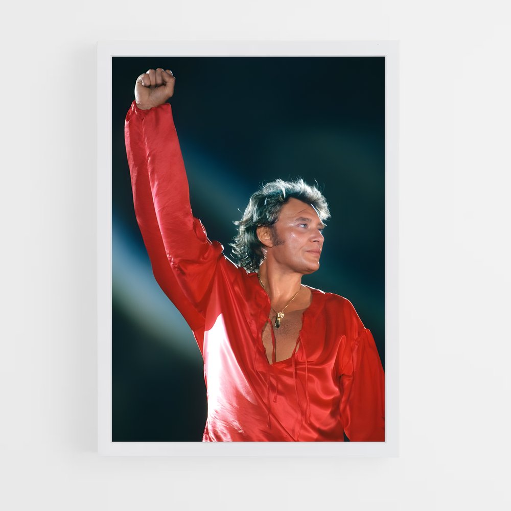 ap-johnny hallyday-12 cadre Blanc