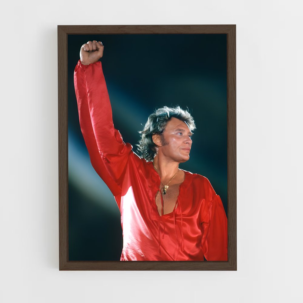 ap-johnny hallyday-12 cadre Bois foncé