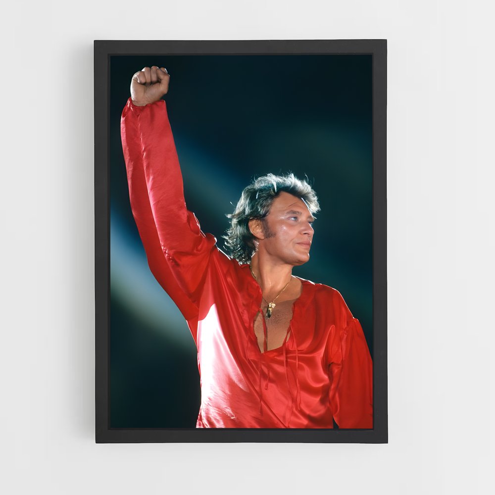 ap-johnny hallyday-12 cadre Noir