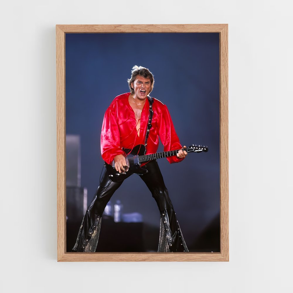 ap-johnny hallyday-13 cadre Bois clair