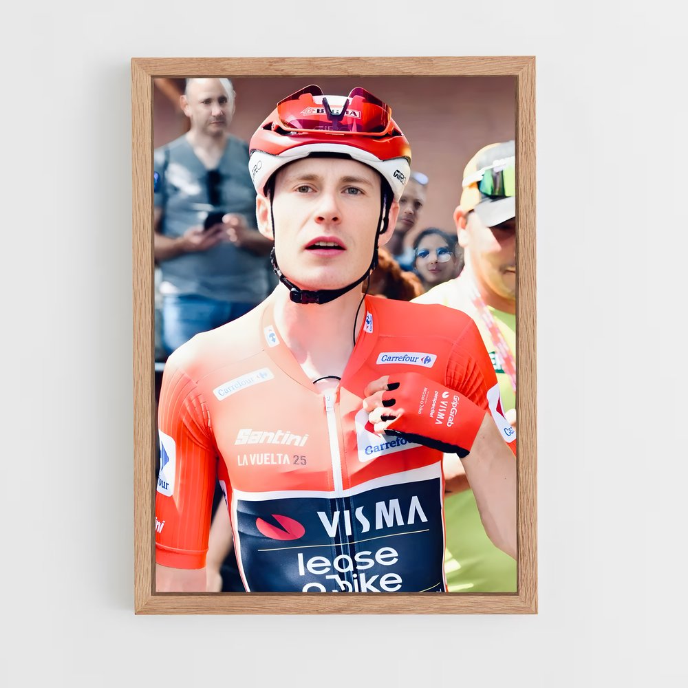 ap-jonas vingegaard-4 cadre Bois clair