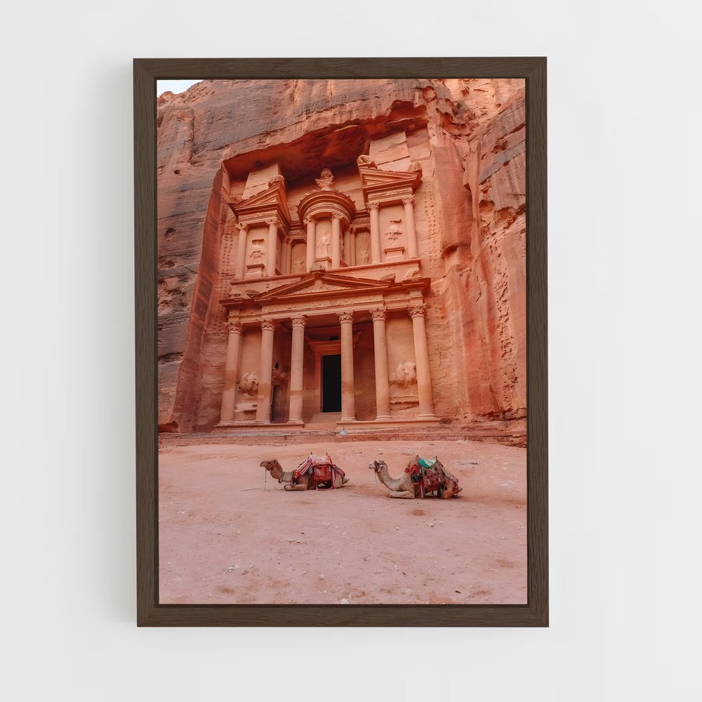 ap-jordan-6 cadre Bois foncé