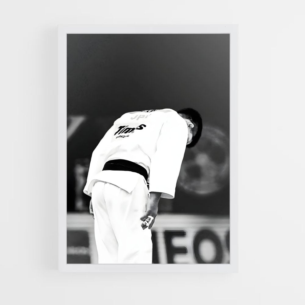 ap-judo-6 cadre Blanc