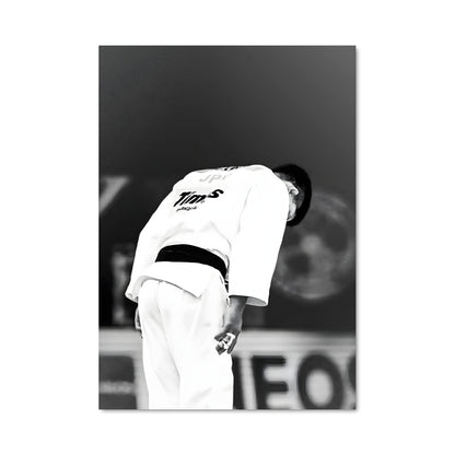 Poster Judo sur le Diamant