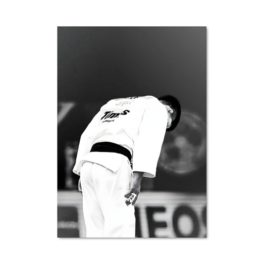 Poster Judo sur le Diamant