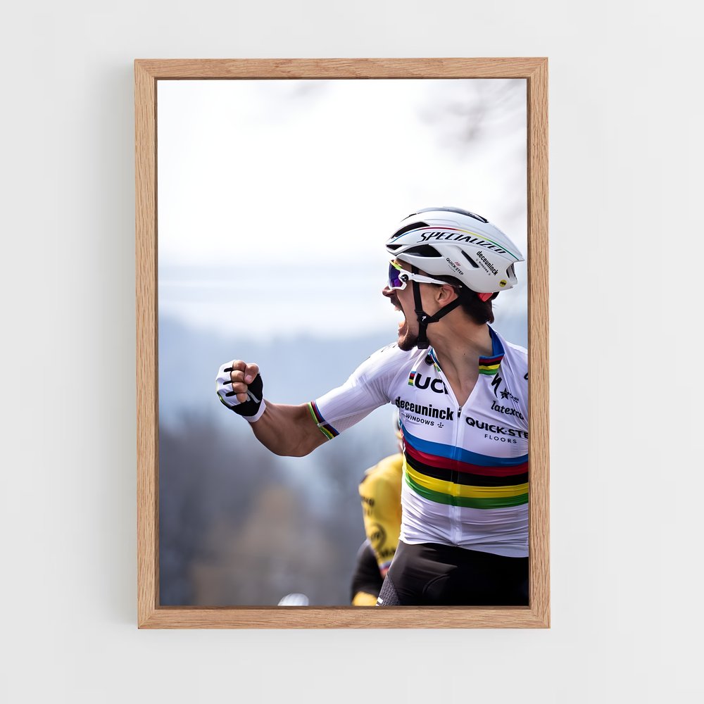 ap-julian alaphilippe-1 cadre Bois clair