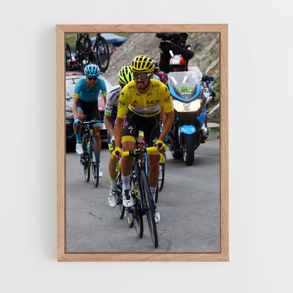 ap-julian alaphilippe-10 cadre Bois clair