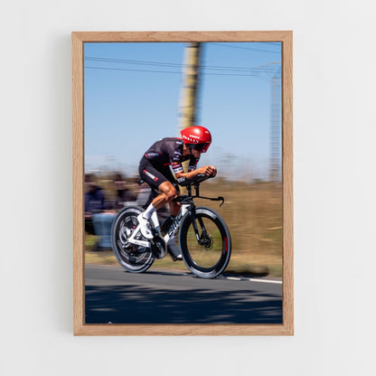 ap-julian alaphilippe-13 cadre Bois clair