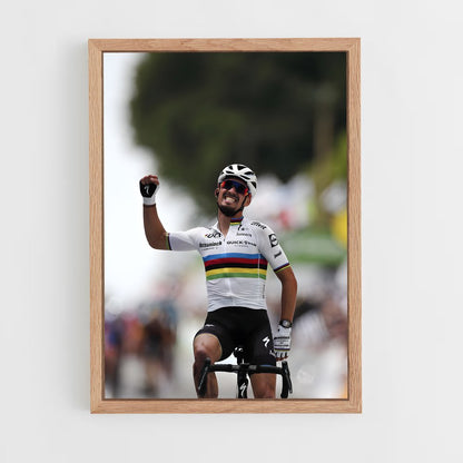 ap-julian alaphilippe-4 cadre Bois clair