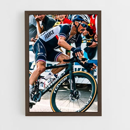 ap-julian alaphilippe-7 cadre Bois foncé