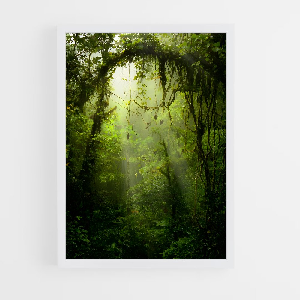 ap-jungle-1 cadre Blanc