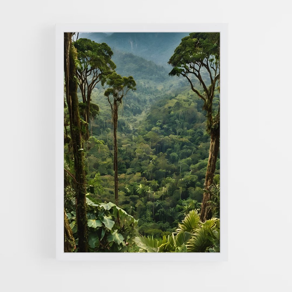 ap-jungle-6 cadre Blanc