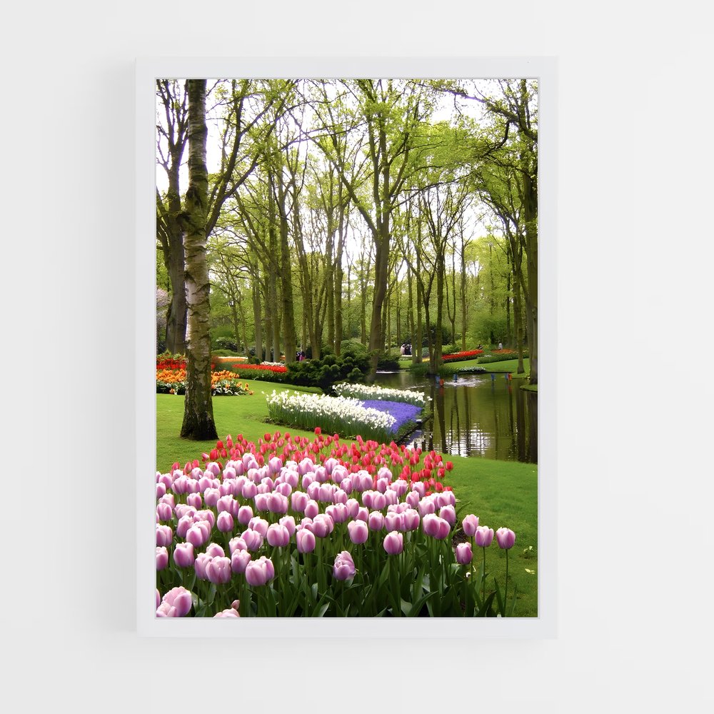 ap-keukenhof gardens-6 cadre Blanc