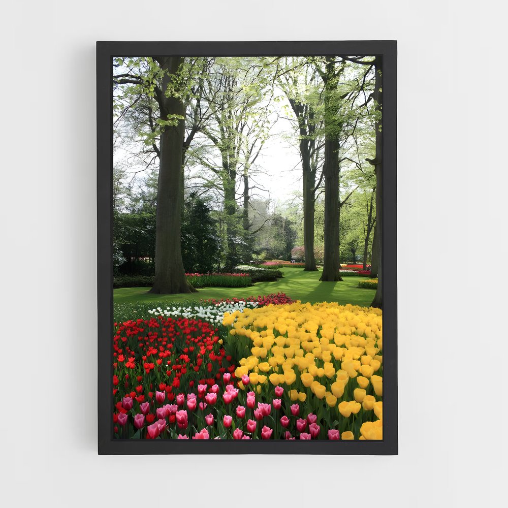 ap-keukenhof gardens-7 cadre Noir