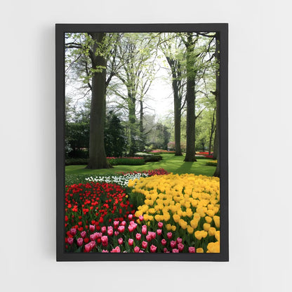 ap-keukenhof gardens-7 cadre Noir
