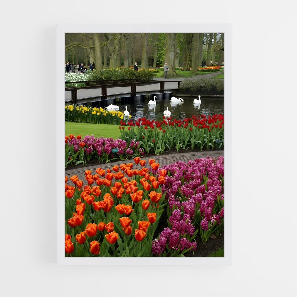 ap-keukenhof gardens-8 cadre Blanc