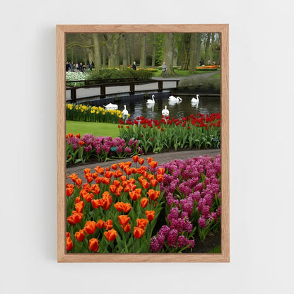 ap-keukenhof gardens-8 cadre Bois clair