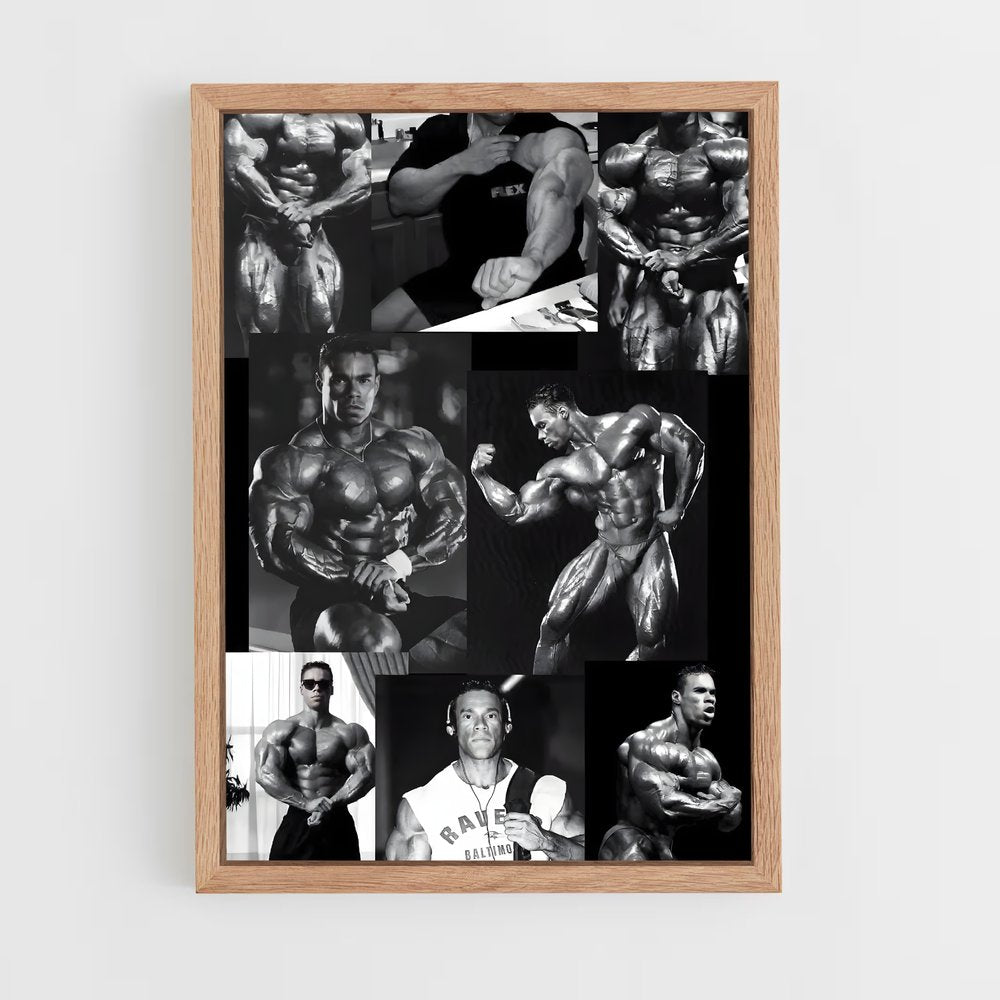 ap-kevin levrone-6 cadre Bois clair