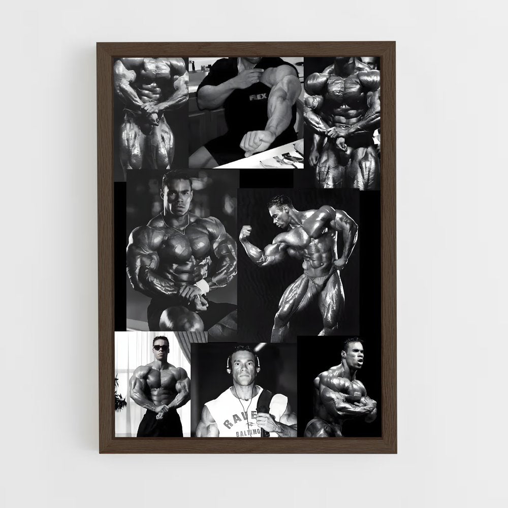 ap-kevin levrone-6 cadre Bois foncé