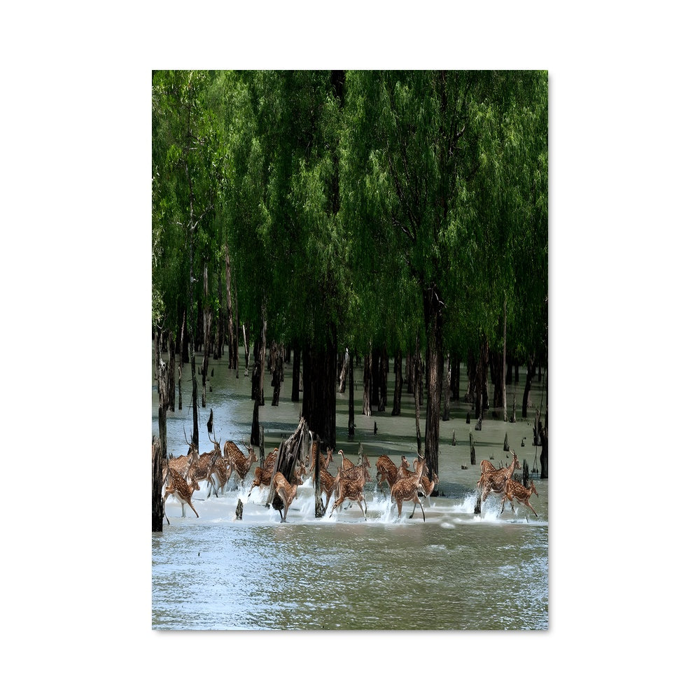 Poster Traversée Aquatique