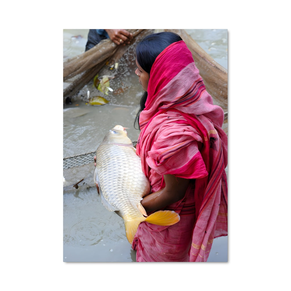 Poster Élégance de Khulna