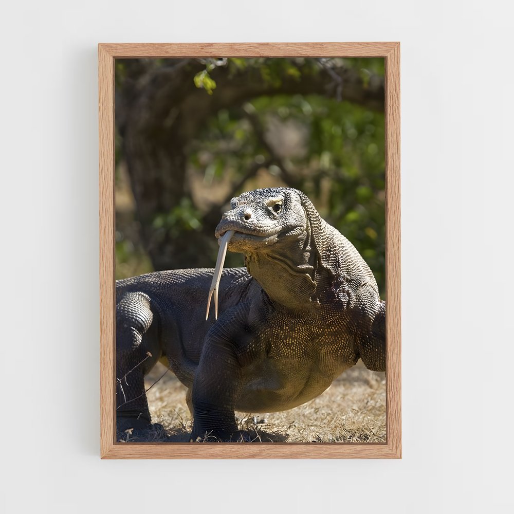 ap-komodo dragon-1 cadre Bois clair