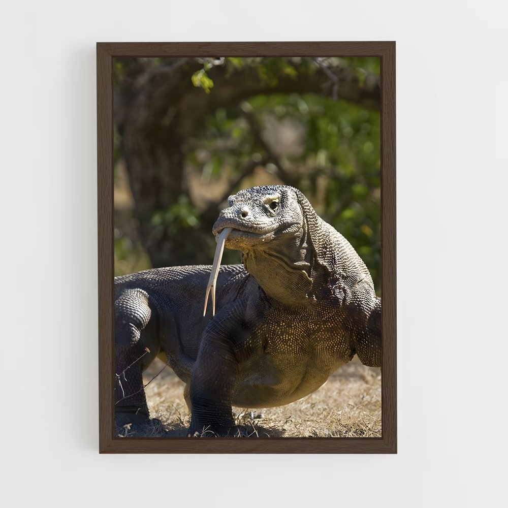 ap-komodo dragon-1 cadre Bois foncé