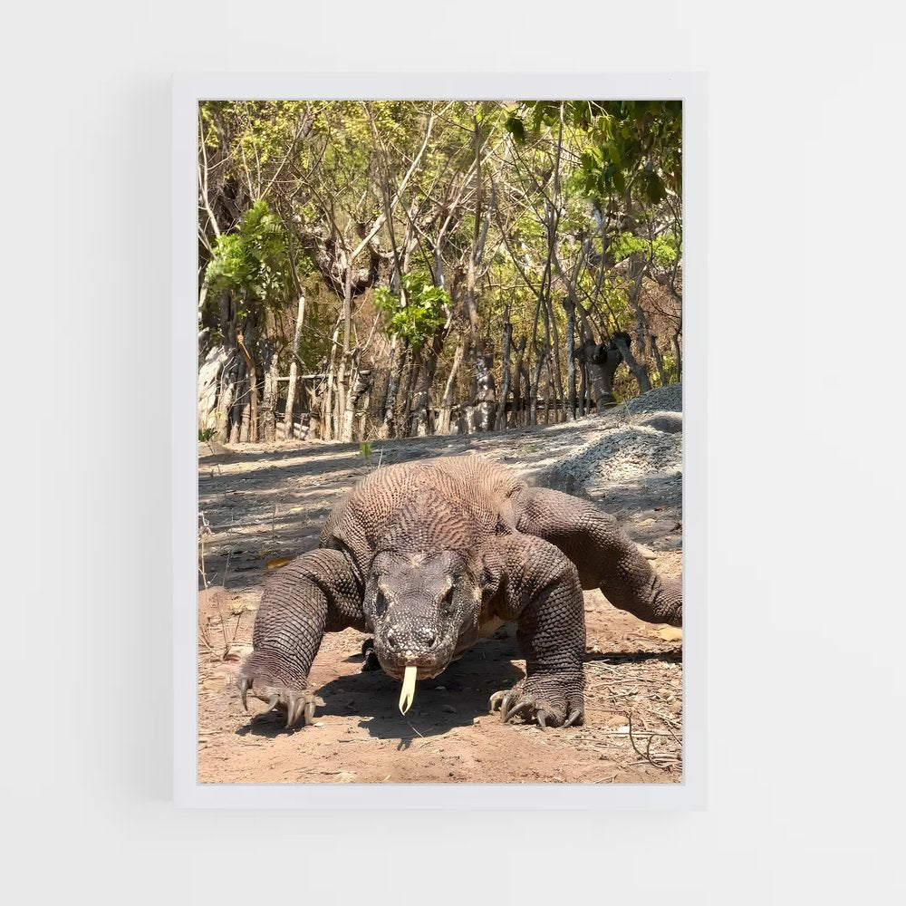ap-komodo dragon-3 cadre Blanc