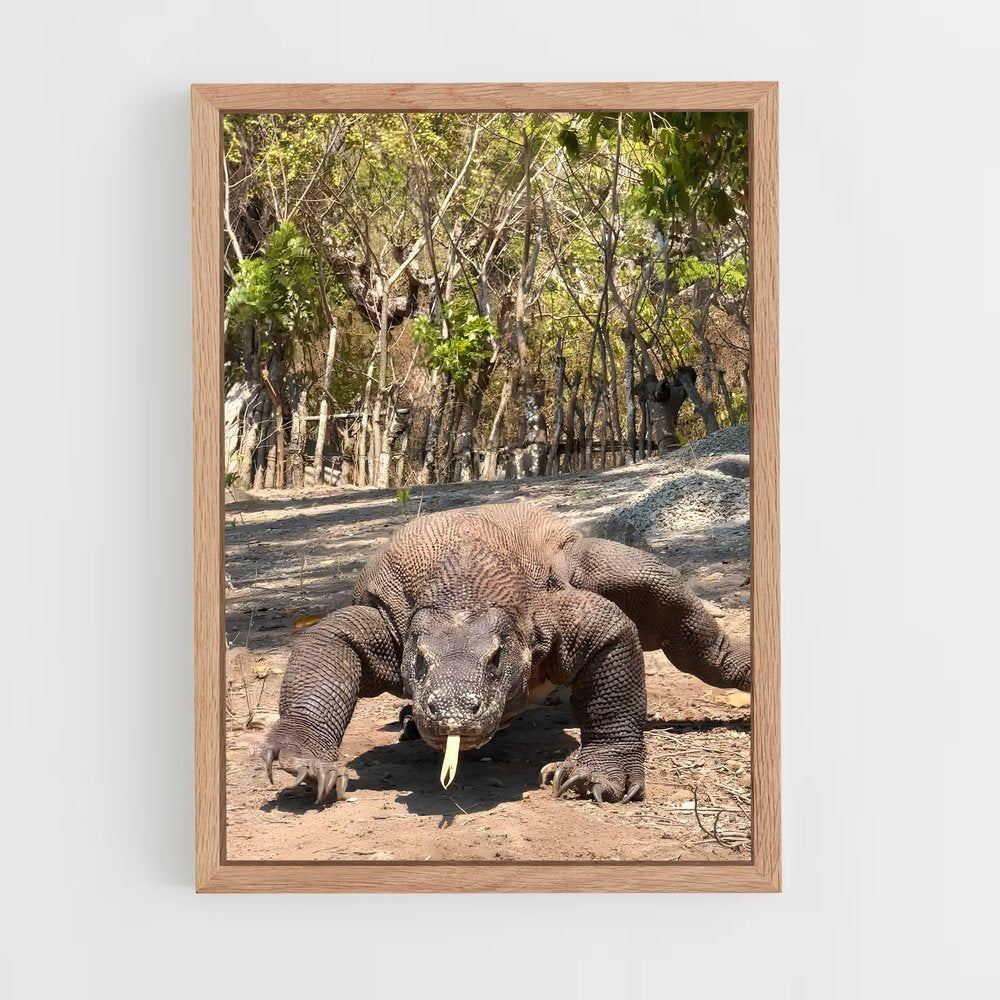 ap-komodo dragon-3 cadre Bois clair