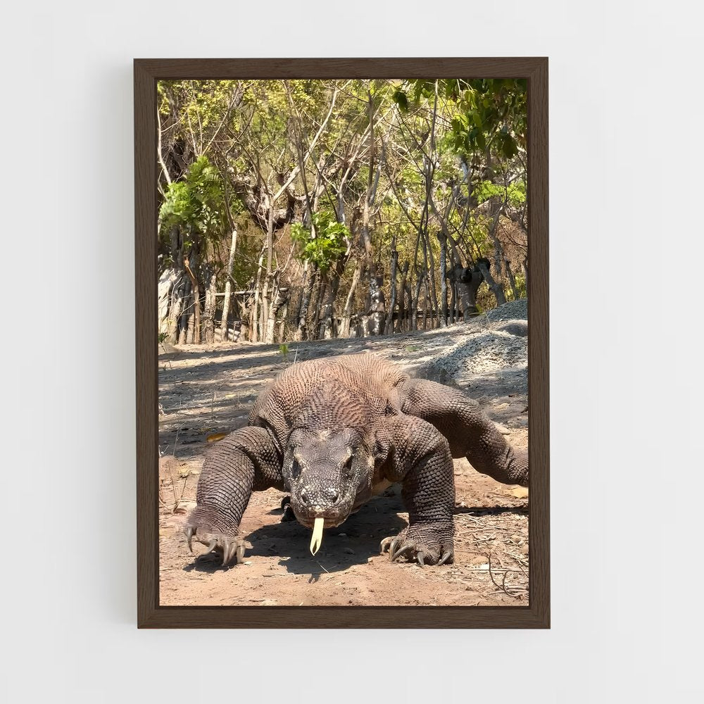 ap-komodo dragon-3 cadre Bois foncé