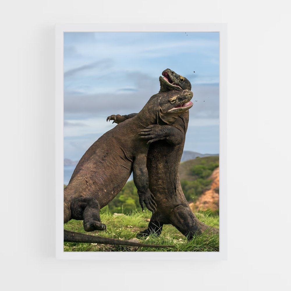 ap-komodo dragon-4 cadre Blanc