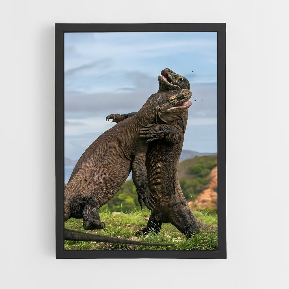 ap-komodo dragon-4 cadre Noir