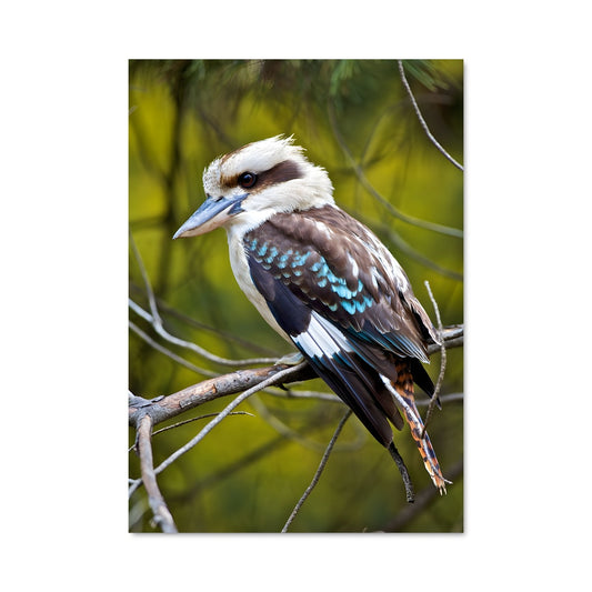 Poster Chant de l'Aube