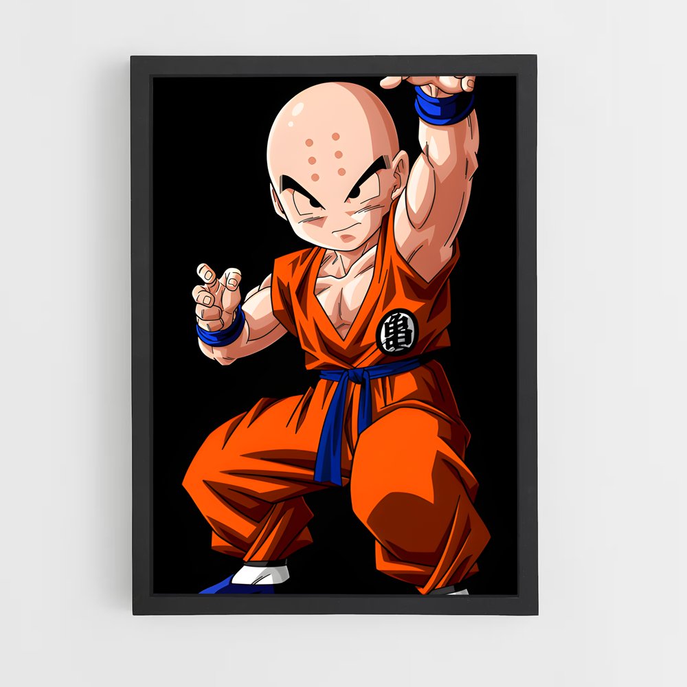 ap-krillin-1 cadre Noir