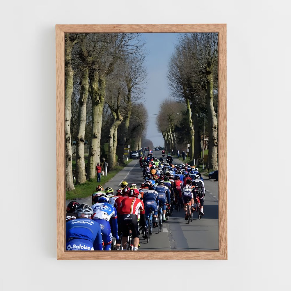 ap-kuurne-brussel-kuurne-1 cadre Bois clair