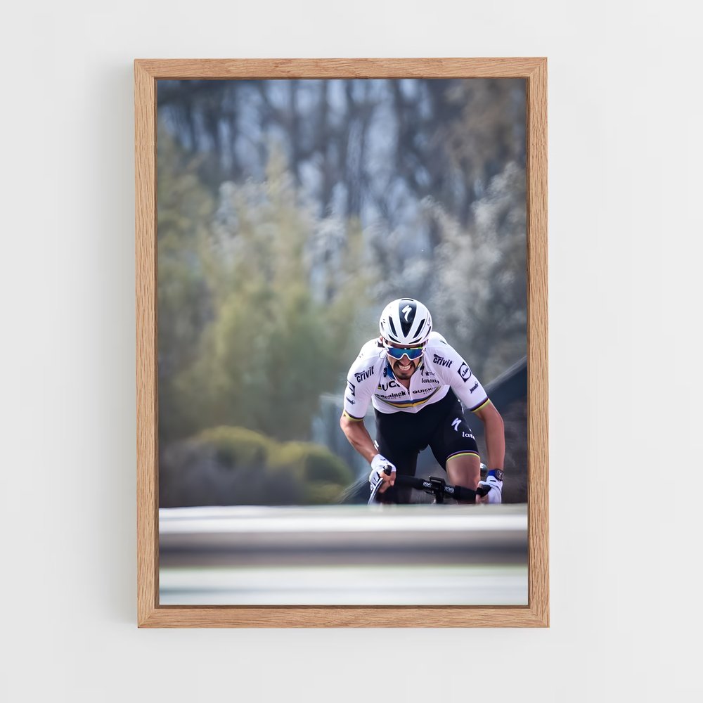 ap-la fleche wallonne-1 cadre Bois clair