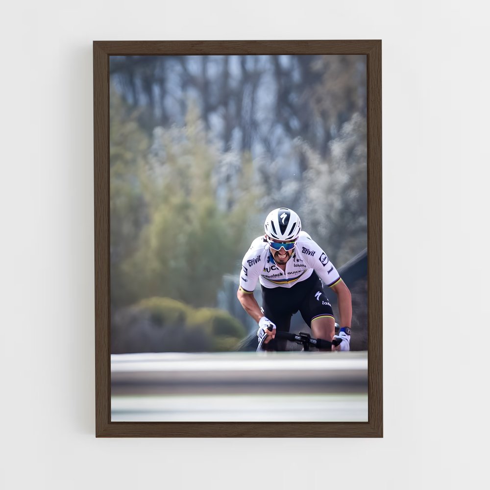 ap-la fleche wallonne-1 cadre Bois foncé