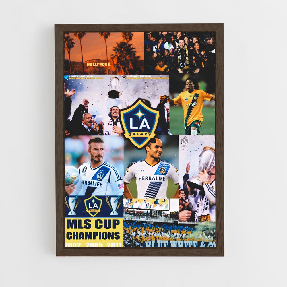 ap-la galaxy-3 cadre Bois foncé