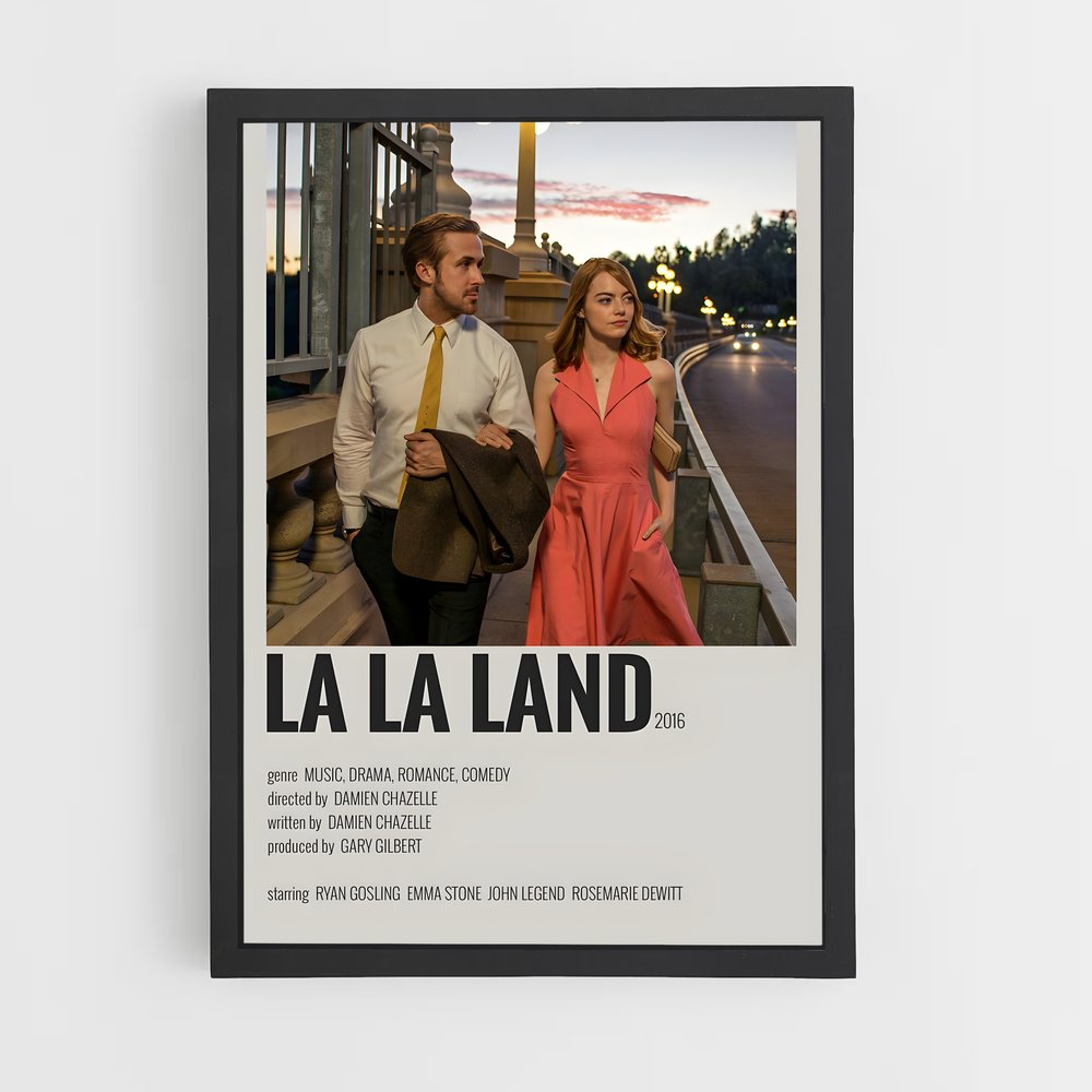 ap-la la land-8 cadre Noir