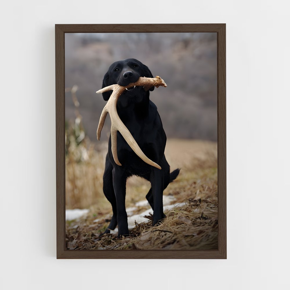 ap-labrador retriever-2 cadre Bois foncé