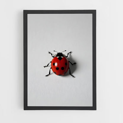 ap-ladybug-13 cadre Noir