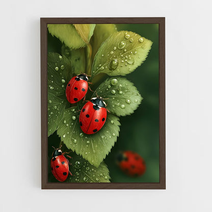 ap-ladybug-2 cadre Bois foncé