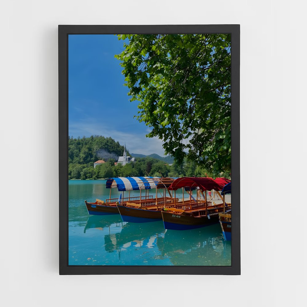 ap-lake bled-5 cadre Noir