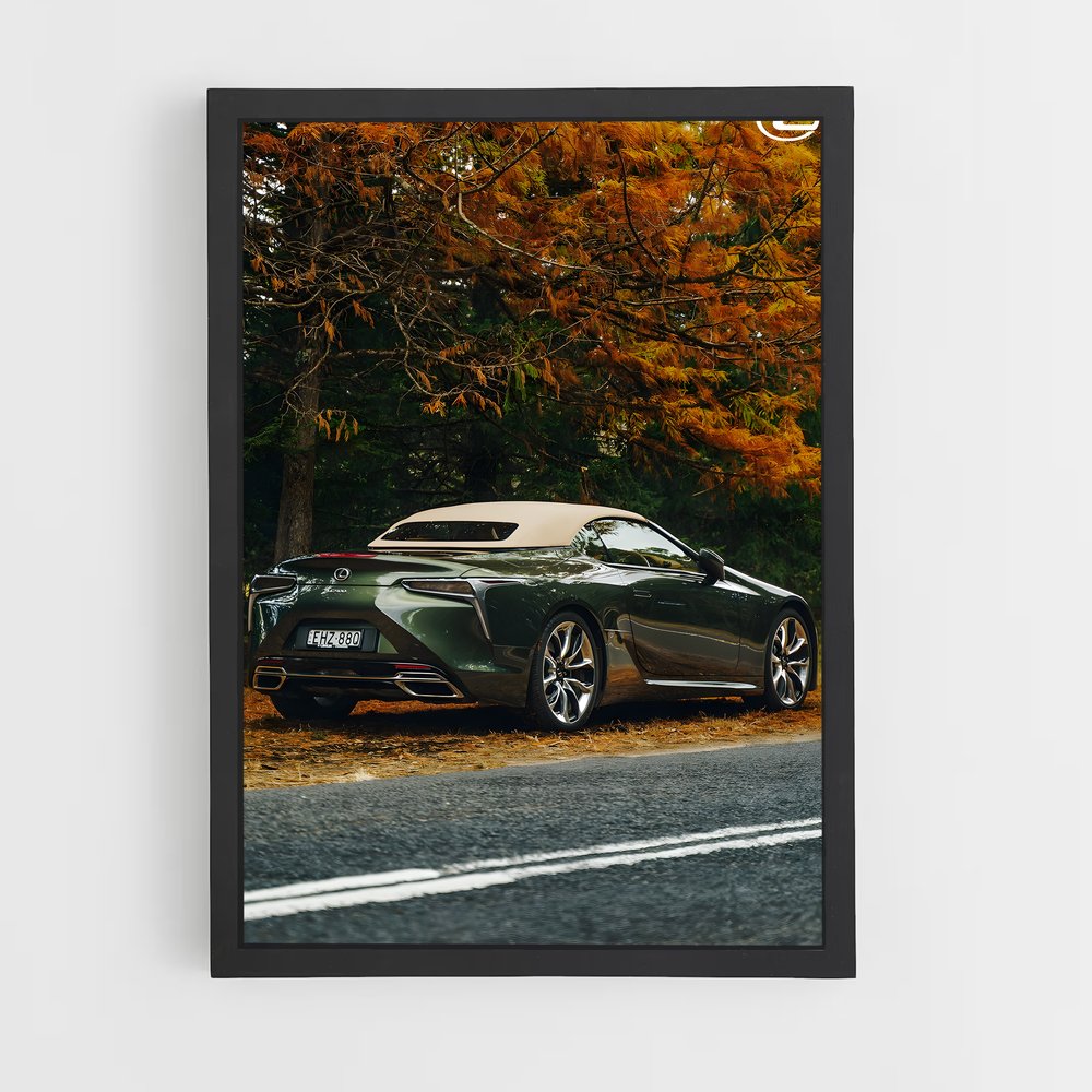 ap-lc 500 convertible-2 cadre Noir