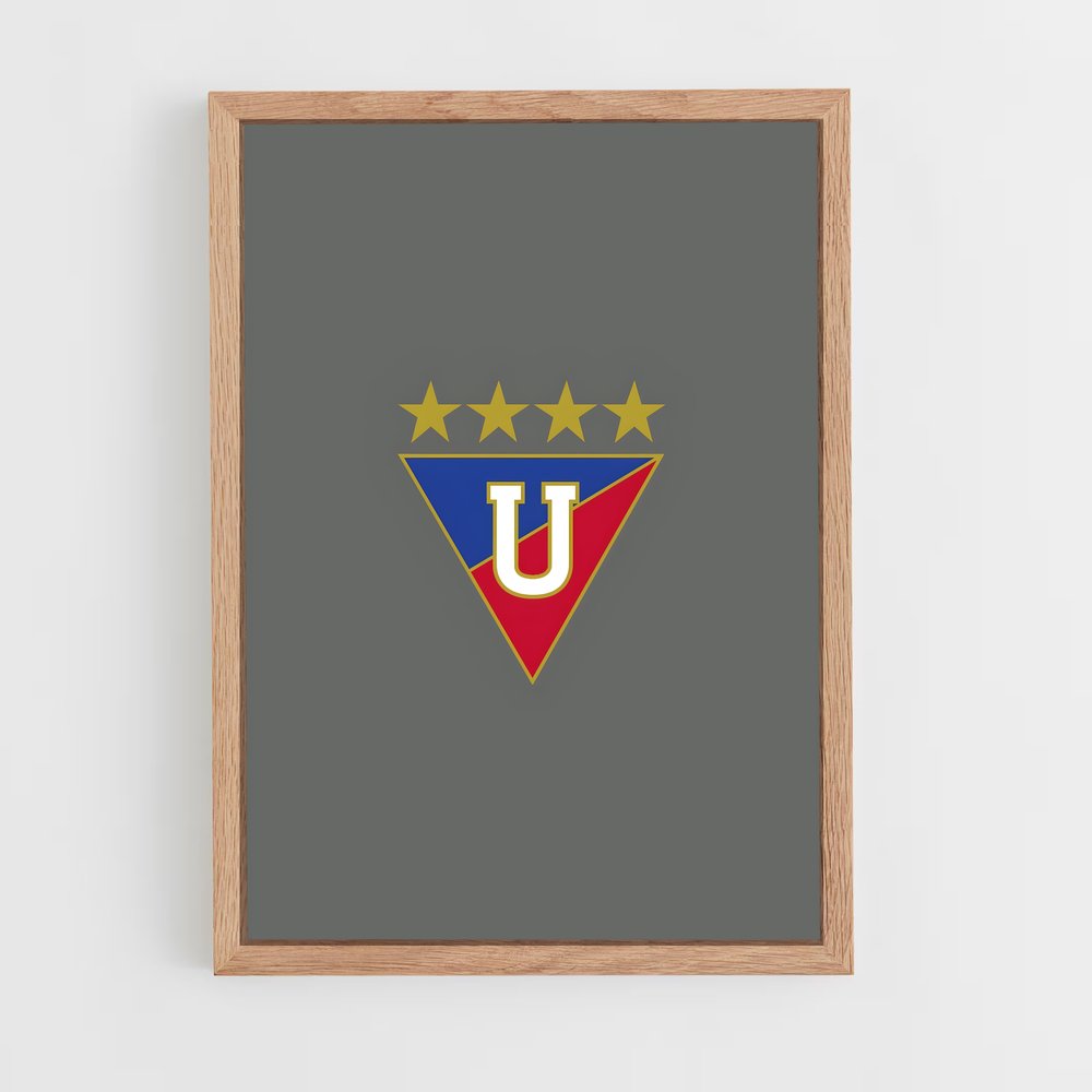 ap-ldu quito-4 cadre Bois clair